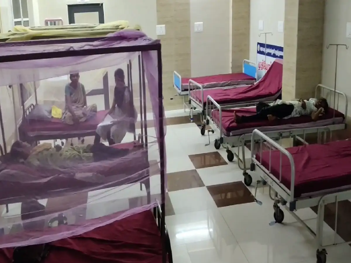 ஆறு பேருக்கு டெங்கு நோய் தொற்று உறுதி; விருதுநகர் மக்கள் பீதி! 