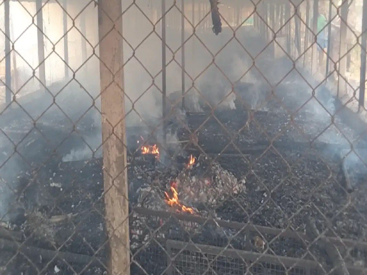 திண்டுக்கல்....கோழி பண்ணையில் பற்றி எரிந்த தீ; 10 லட்சம் மதிப்புள்ள பொருட்கள் சேதம்! 