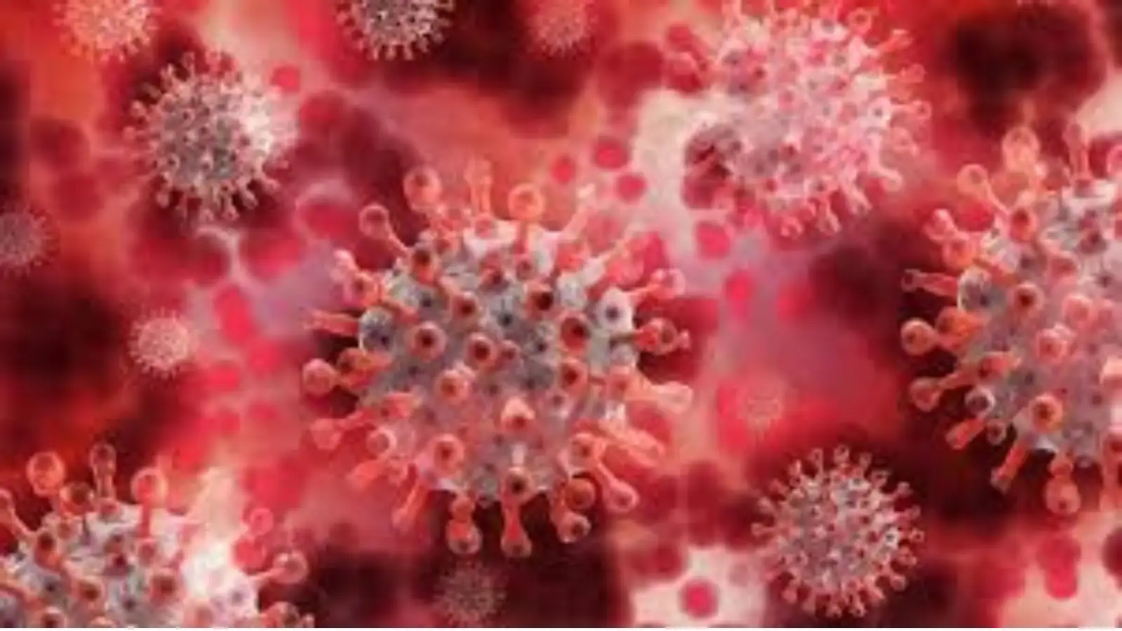 கேரளாவில் ஆட்டிப் படைக்கும் நிபா வைரஸ்.. 18 வயது இளம்பெண் பலி: 425 பேர் தனிமைப்படுத்தப்பட்டனர் 