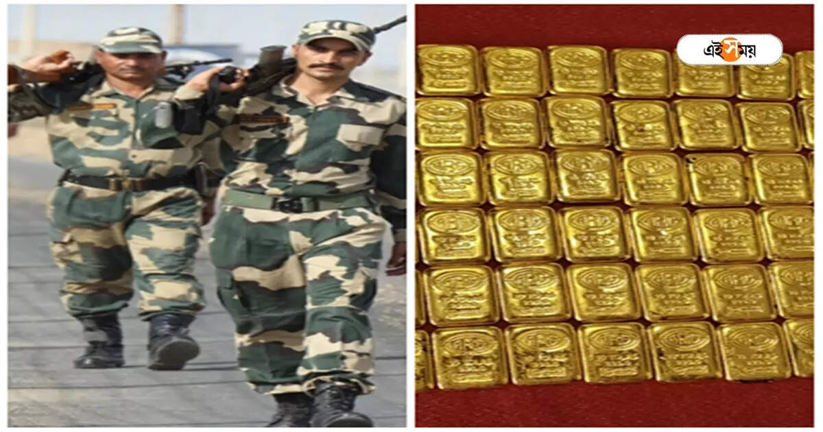Gold Smuggling News : সীমান্তে চার কোটির সোনার বিস্কুট পাচারের চেষ্টা, ট্রাক আটকাল BSF! তারপর… – gold worth rs 4 33 crore seized by bsf in bangaon north 24 parganas know behind the story