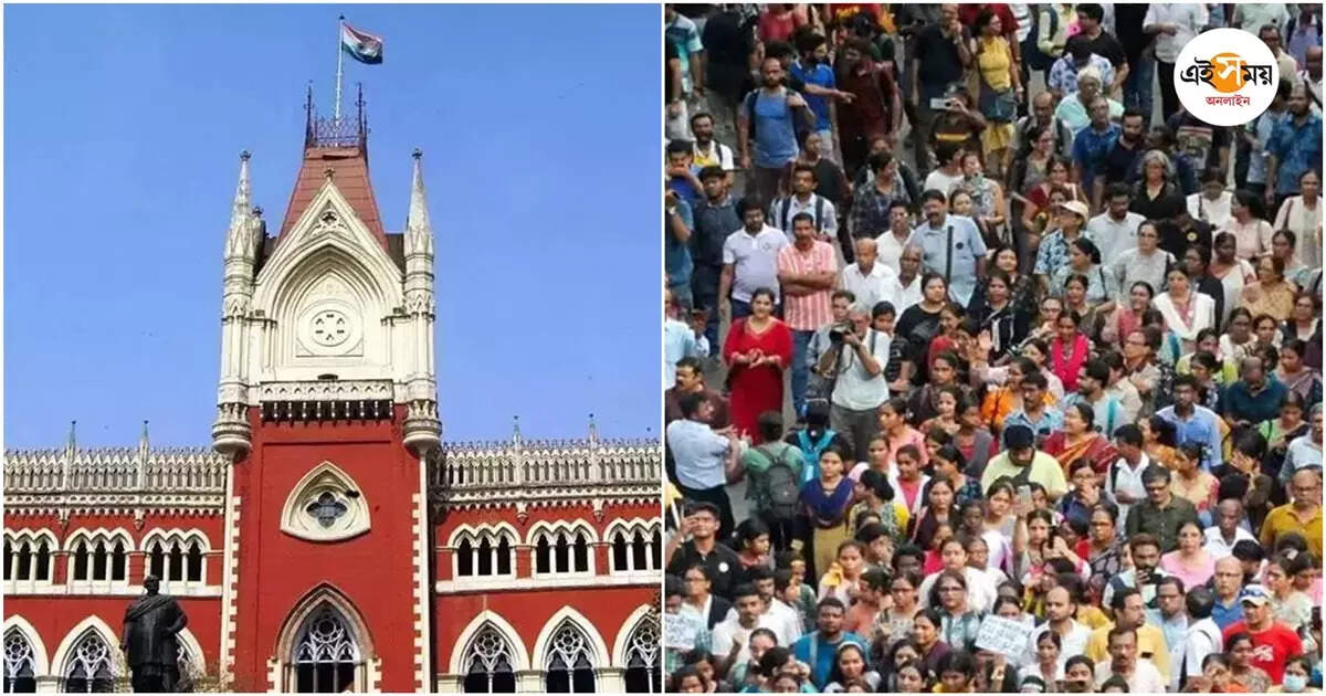 Calcutta High Court News,’সারা শহরে ১৪৪ ধারা জারি করুন’, রাজ্যকে ভর্ৎসনা করে চিকিৎসকদের মিছিলের অনুমতি হাইকোর্টের – calcutta high court gives permission for doctor rally in 1 october