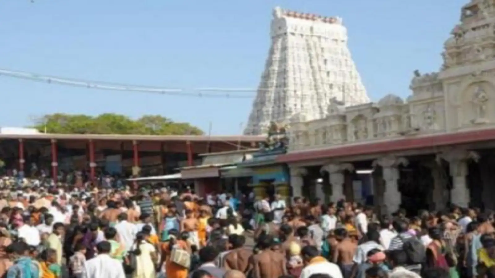 திருச்செந்தூர் சுப்பிரமணிய சுவாமி திருக்கோவிலில் குவிந்த பக்தர்கள்....வரிசையில் நின்று சாமி தரிசனம்! 