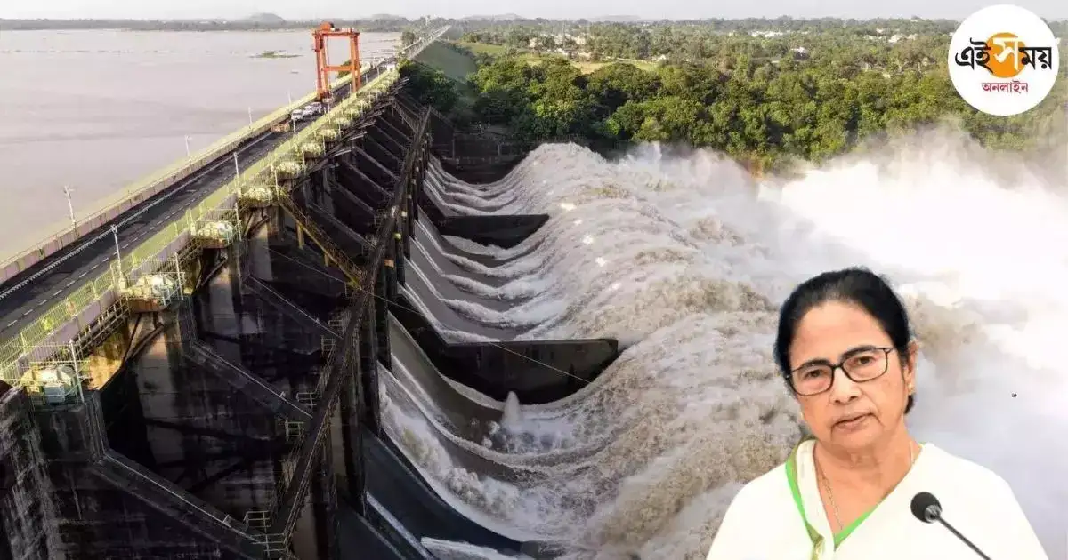 Mamata Banerjee: ‘বাংলাটা ওদের জল হজম করার জায়গা হয়েছে’, ডিভিসিকে নিশানা মমতার – mamata banerjee takes a dig at dvc on water release issue