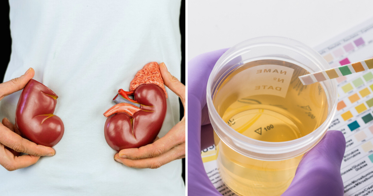 Foamy urine, low flow, your kidneys are failing, don't ignore these early signs