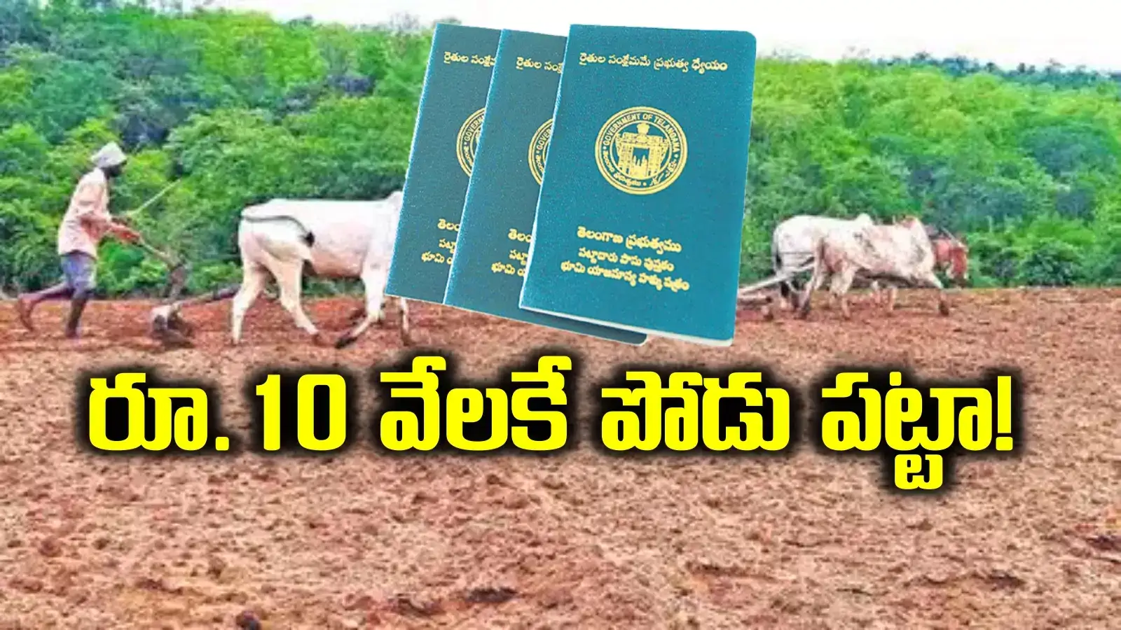 రూ.10 వేలకే ఎకరం భూమికి హక్కు పత్రం.. మరో 10 వేలకు బ్యాంక్ లోన్ కూడా..!