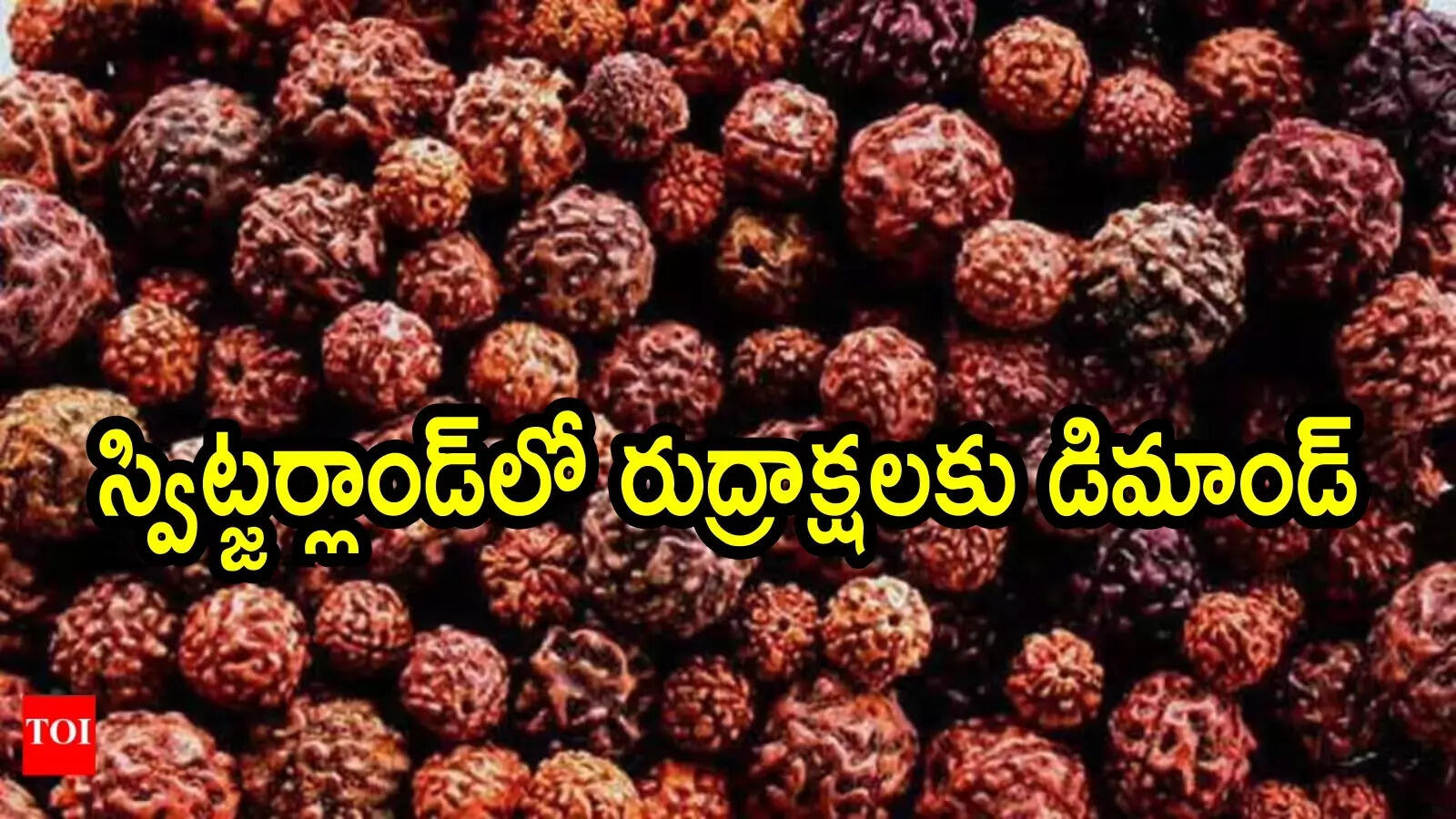 స్విట్జర్లాండ్‌లో రుద్రాక్షలకు భారీగా డిమాండ్.. క్రైస్తవ దేశంలో ఒక్కసారిగా ఇలా ఎందుకు జరిగిందంటే?