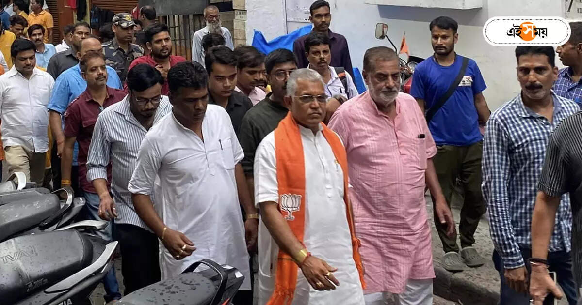 Dilip Ghosh : ভোটে হেরেও ফুল জোশে দিলীপ, প্রশ্ন তুলে পাশে পাচ্ছেন অনেককে – bjp leader dilip ghosh entered in politics again after lost 2024 lok sabha election