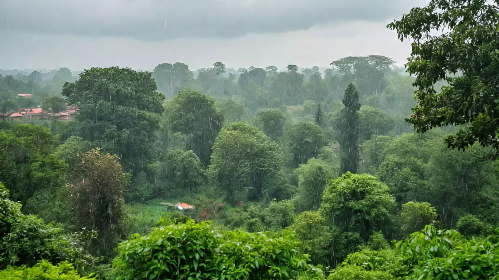 यूपी का मौसम 29 अगस्‍त 2025: उरई में पारा 37℃ के पार, गर्मी-उमस बढ़ी, आज भी बस छिटपुट बारिश की उम्‍मीद