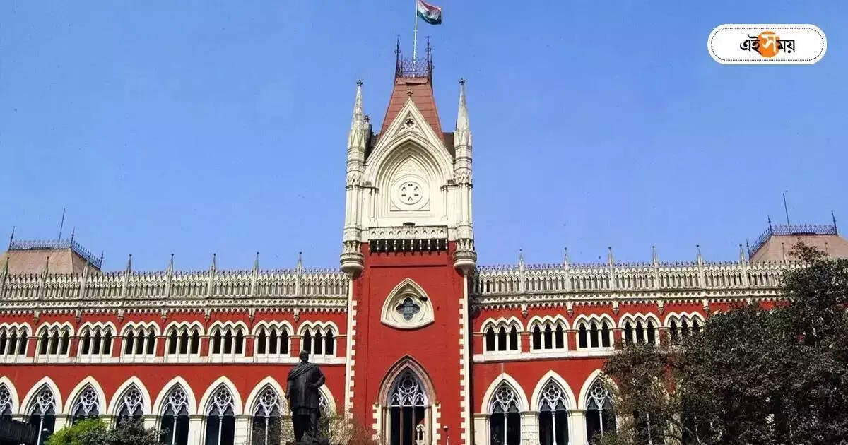 Calcutta High Court News,’ভালোবেসে বিয়ে মেনে নেয়নি বাবা-মা, খুনও করতে পারে’, তরুণীর দাবিতে বিস্মিত হাইকোর্ট – visva bharati student claims in calcutta high court her father did not accept her love marriage