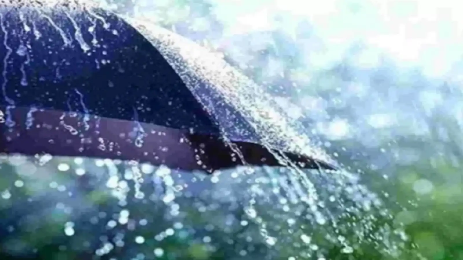 திருப்பூர் மக்களே குடையை எடுத்துட்டு வெளிய வாங்க; மஞ்சள் அலர்ட் விடுத்த வானிலை ஆய்வு மையம்! 