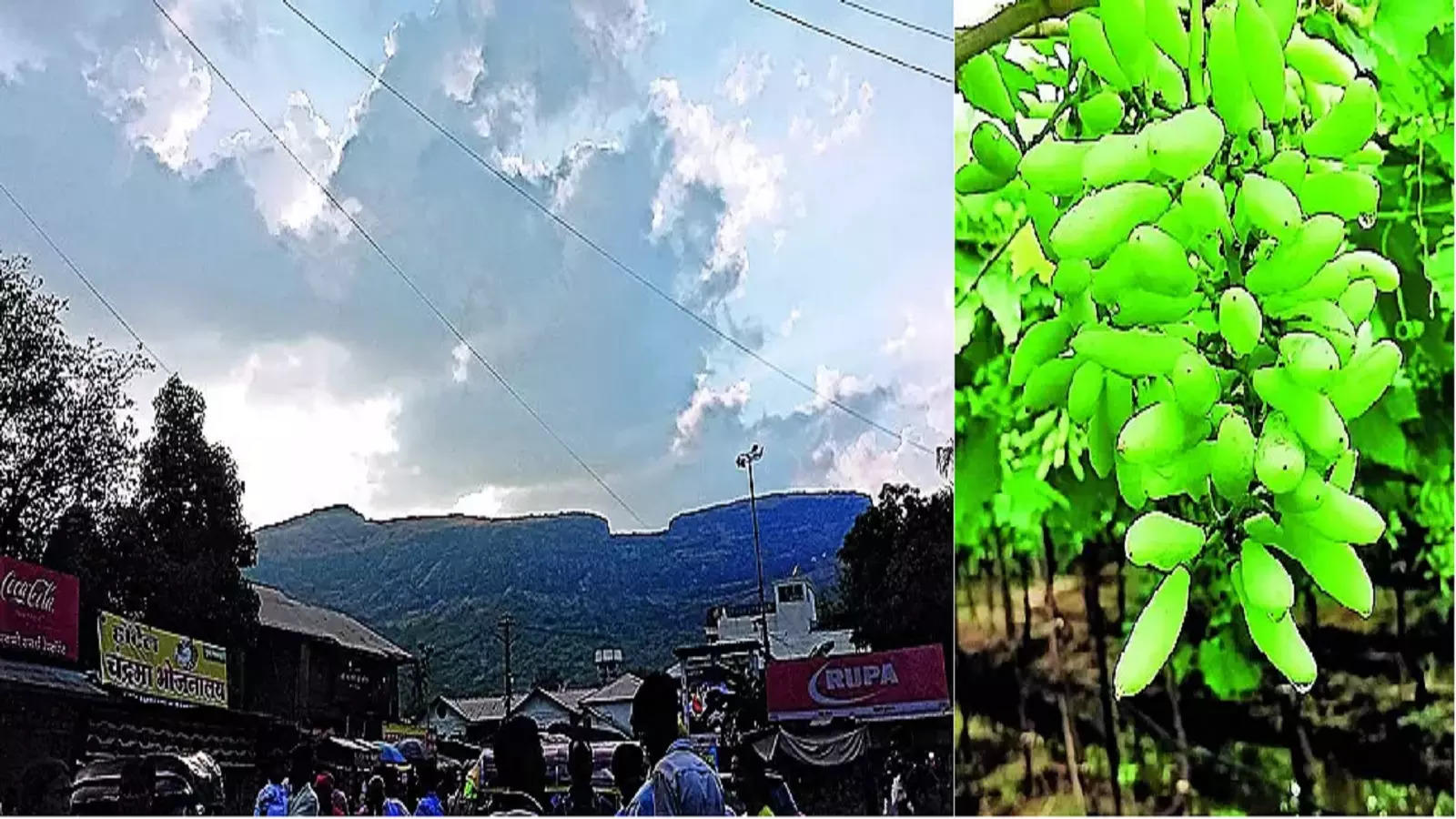 Nashik Rain: पिकांवर अवकाळी संकट; जिल्ह्यातील देवळा, बागलाण, दिंडोरी, निफाड, त्र्यंबकला पावसाने झोडपले