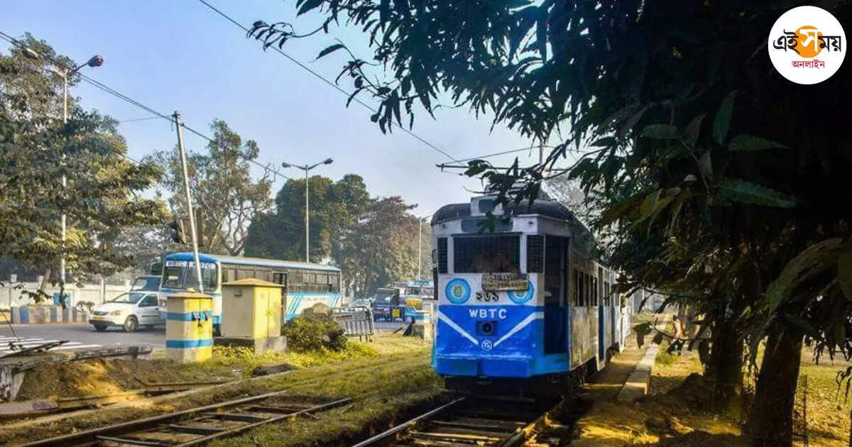 Kolkata Tram,ট্রাম তুলে দেওয়ার বিরুদ্ধে মত জোড়াফুলের অন্দরেই – trinamool several leaders are not in favour of removing trams from kolkata