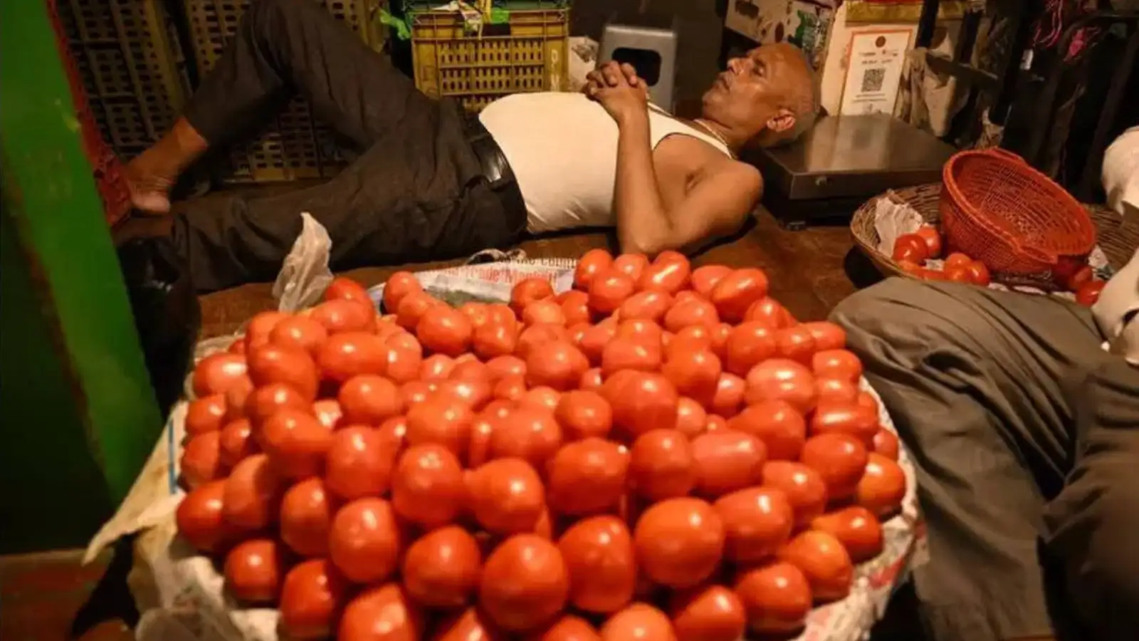 ஒரு கிலோ தக்காளி விலை 187 ரூபாய்… ஆடிப் போன பாகிஸ்தான் மக்கள்- காரணம் இதுதான்! 