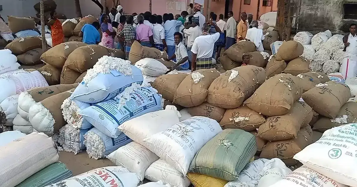 பருத்தி விவசாயிகளுக்கு குட் நியூஸ்... பருத்தி வரத்து குறைந்து, விலை உயர்வு..! 