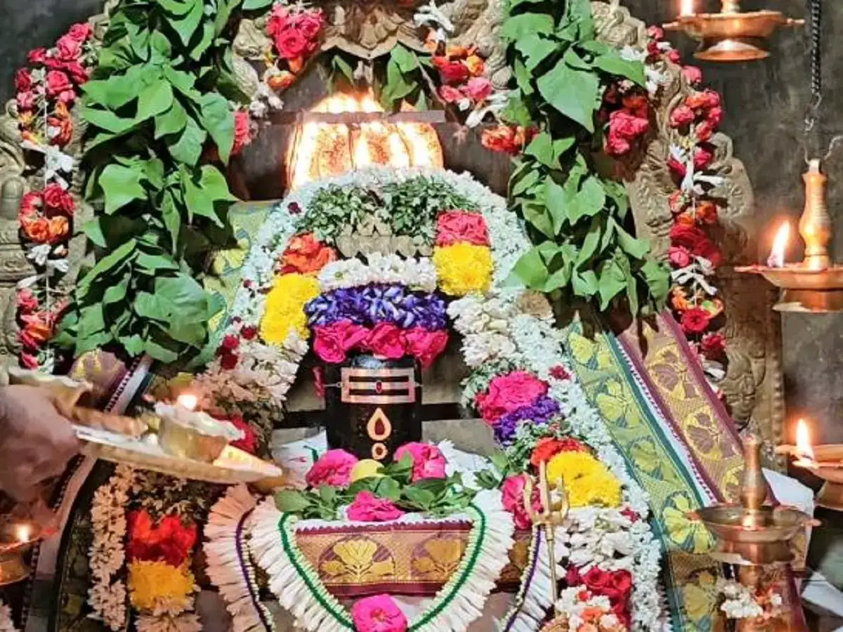 செஞ்சி காசி விஸ்வநாதர் கோவிலில் ஆடிப்பூர திருவிழா கோலாகலம்! 