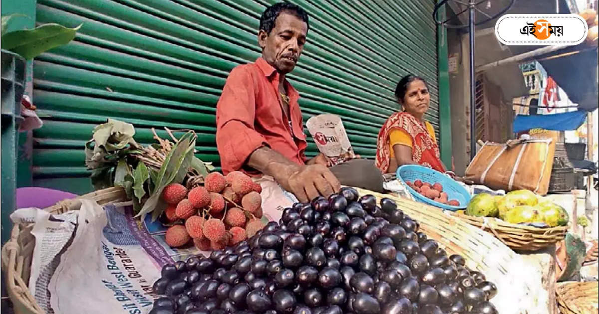 হারিয়ে যাচ্ছে জামগাছ, তাই আকাশছোঁয়া দাম – one kg blue berry fruit shelling three hundred of rupees in market