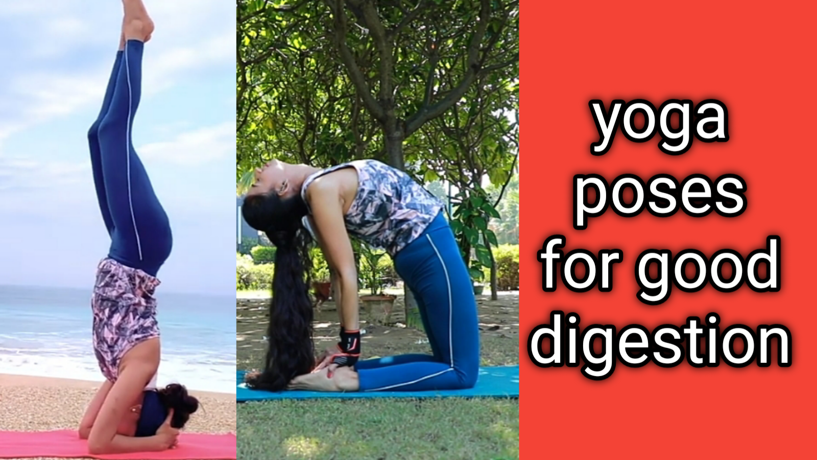 5 Easy Yoga Exercises & Poses to Help Ease the Digestion Process