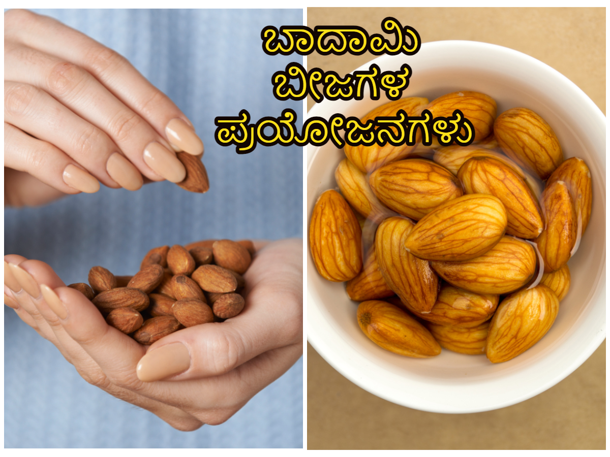 Soaked almonds in winter are sweet, health is good and no other problem comes