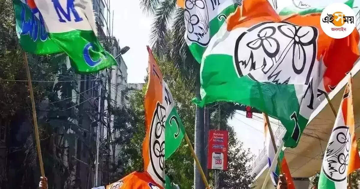 Trinamool Congress,জেল থেকে বেরিয়েই দলকে তোপ বহিষ্কৃত তৃণমূল নেতার, আক্রমণ সিআইডিকেও – tmc leader criticises trinamool congress party after release from jail