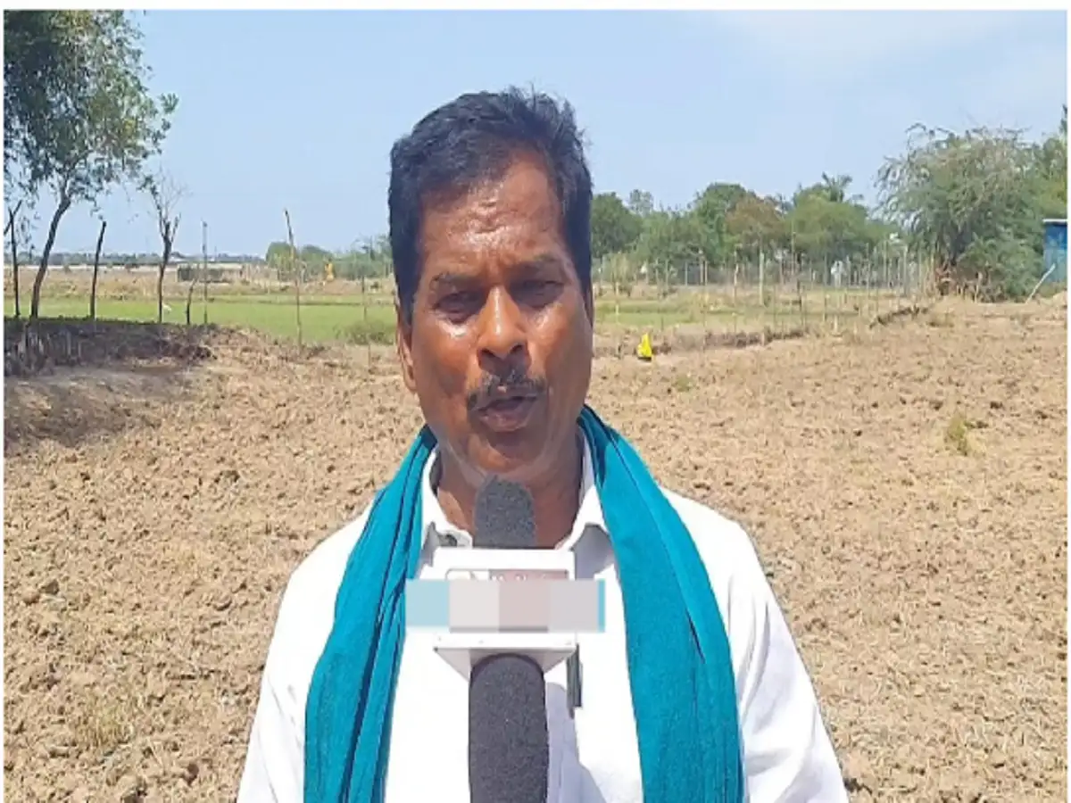 நாகப்பட்டினம் எட்டுக்குடி; 300 ஏக்கர் பரப்பரவில் குருவை சாகுபடி கருகி நாசம்- விவசாயிகள் வேதனை! 