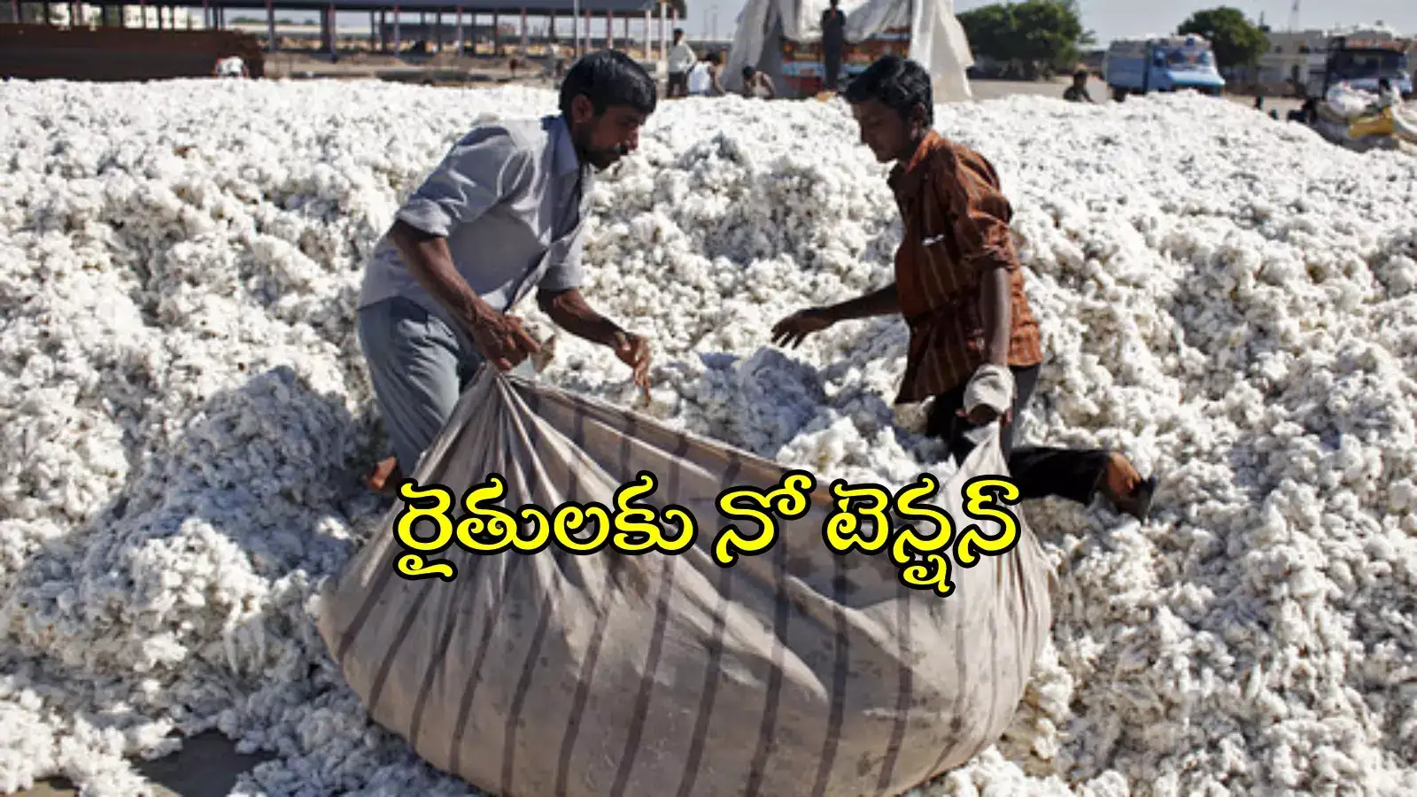 తెలంగాణలో పత్తి కొనుగోళ్లు.. మంత్రి తుమ్మల కీలక ఆదేశం, రైతులకు నో టెన్షన్