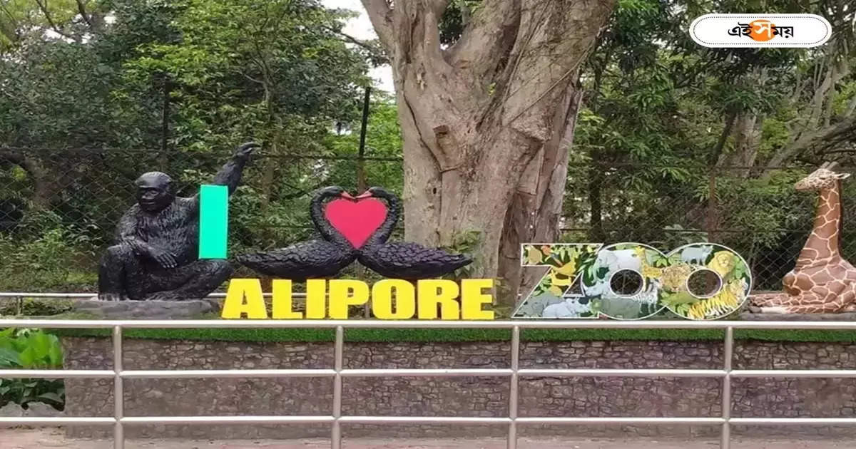 Alipore Zoo : জীবজন্তুদের নিরাপত্তায় বিশেষ জোর, সুরক্ষিত রাখতে আলিপুর চিড়িয়াখানায় সোলার ফেন্সিং – solar fencing will be installed around the alipore zoo to protect it