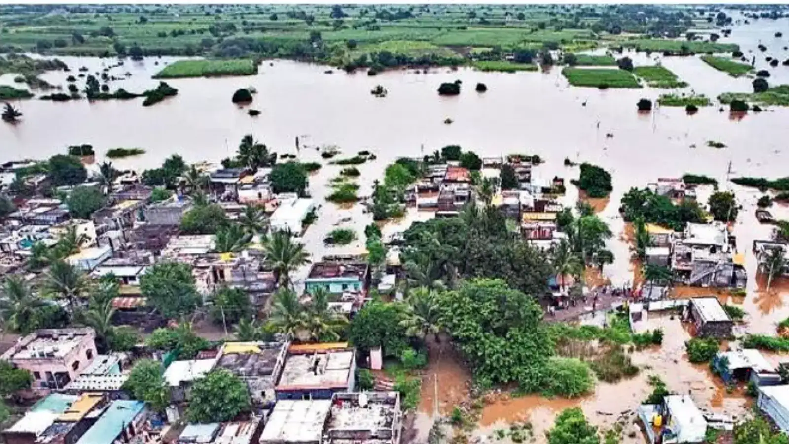 Solapur Flood: सोलापुरात ‘जलप्रकोप’! सीनेच्या महापुरात १२४ गावे बाधित, २९ गावांना पाण्याचा वेढा Solapur Flood: सोलापुरात ‘जलप्रकोप’! सीनेच्या महापुरात १२४ गावे बाधित, २९ गावांना पाण्याचा वेढा