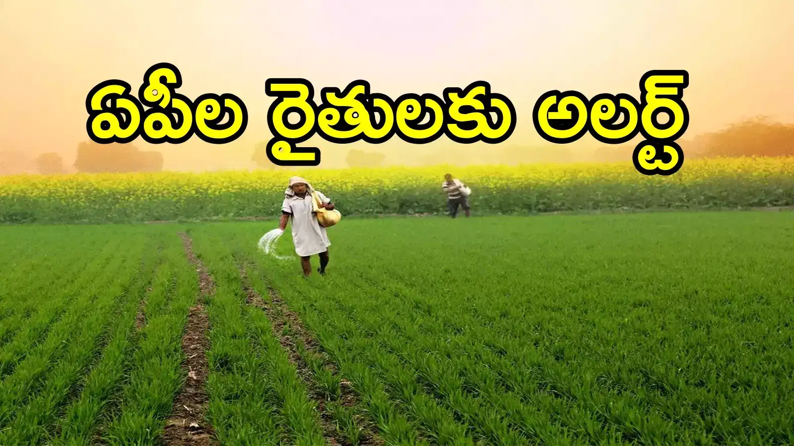 ఏపీ రైతుల అకౌంట్‌లలోకి డబ్బులు.. రూ.17వేల నుంచి రూ.25వేలకు పెంపు