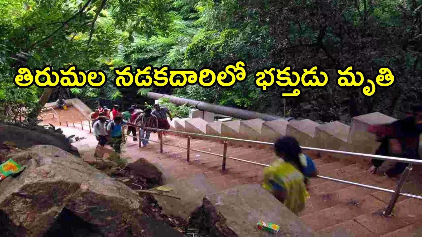 తిరుమలలో విషాదం.. దర్శనానికి వెళుతూ హైదరాబాద్ భక్తుడు మృతి