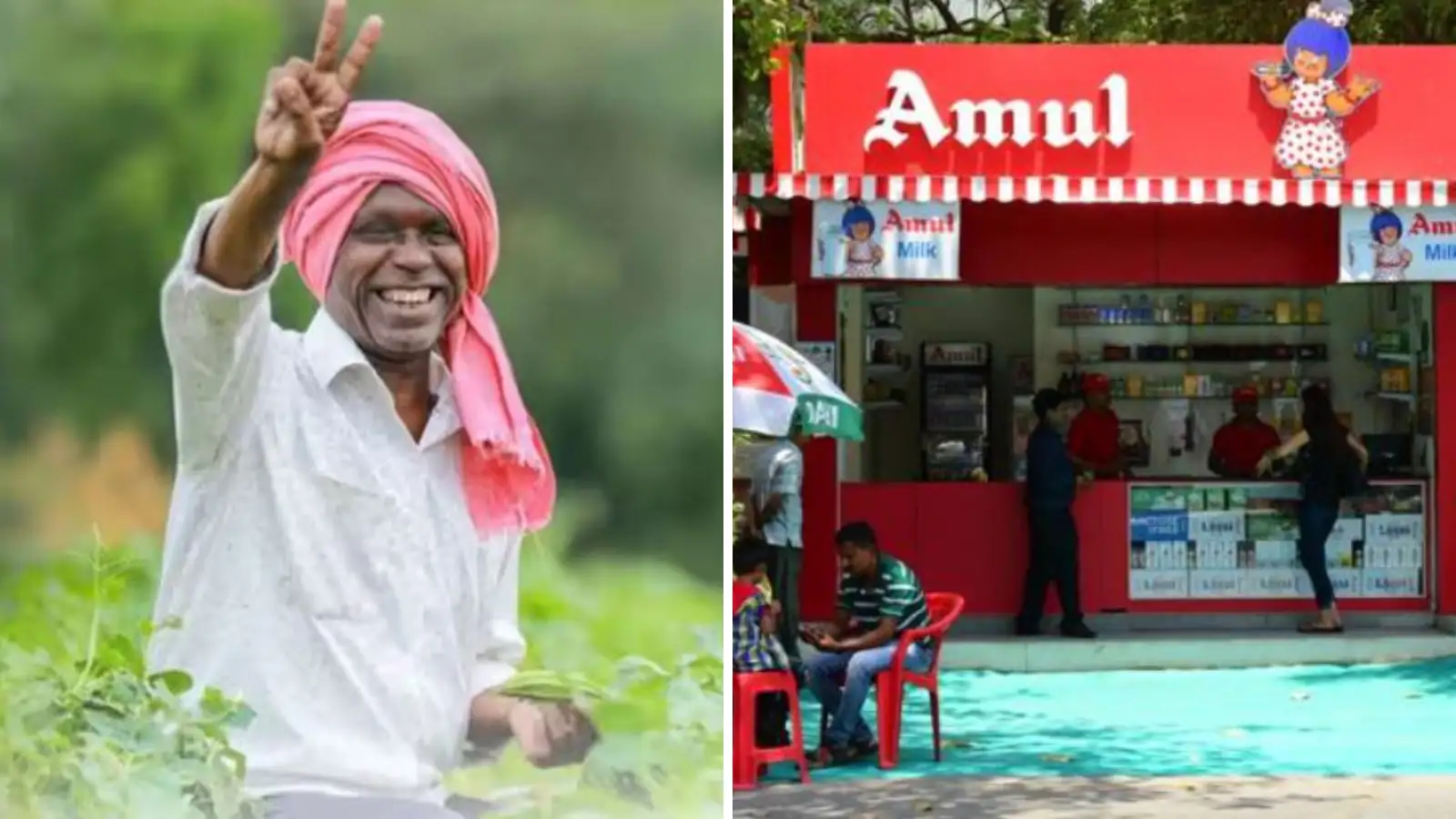 விவசாயிகளுக்கு வேளாண் அட்டை.. அமுல் கடைகளில் விதை வாங்கலாம்.. IOB மாஸ் திட்டம்! 
