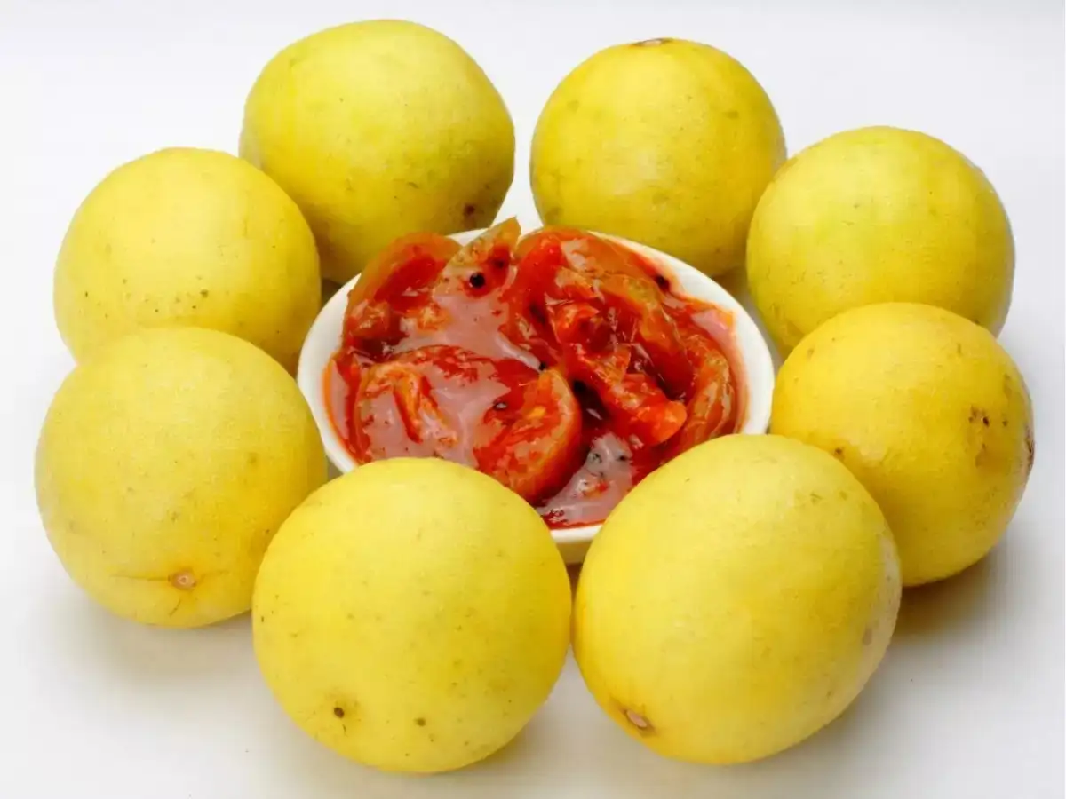 Lemon Pickle Recipe,लिंबाचं लोणचं खाण्याआधी जाणून घ्या ‘या’ ५ गोष्टी