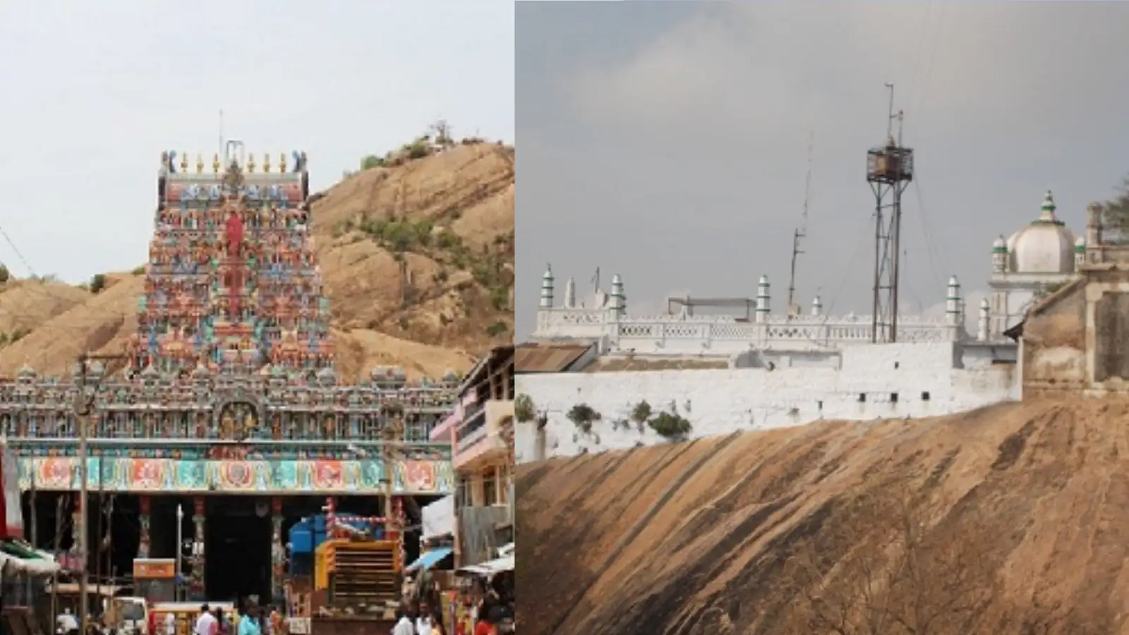 ஆடு ,கோழிகளை பலியிட கூடாது..திருப்பரங்குன்றம் மலை விவகாரம் - நீதிமன்றம் போட்ட அதிரடி ஆர்டர்! 