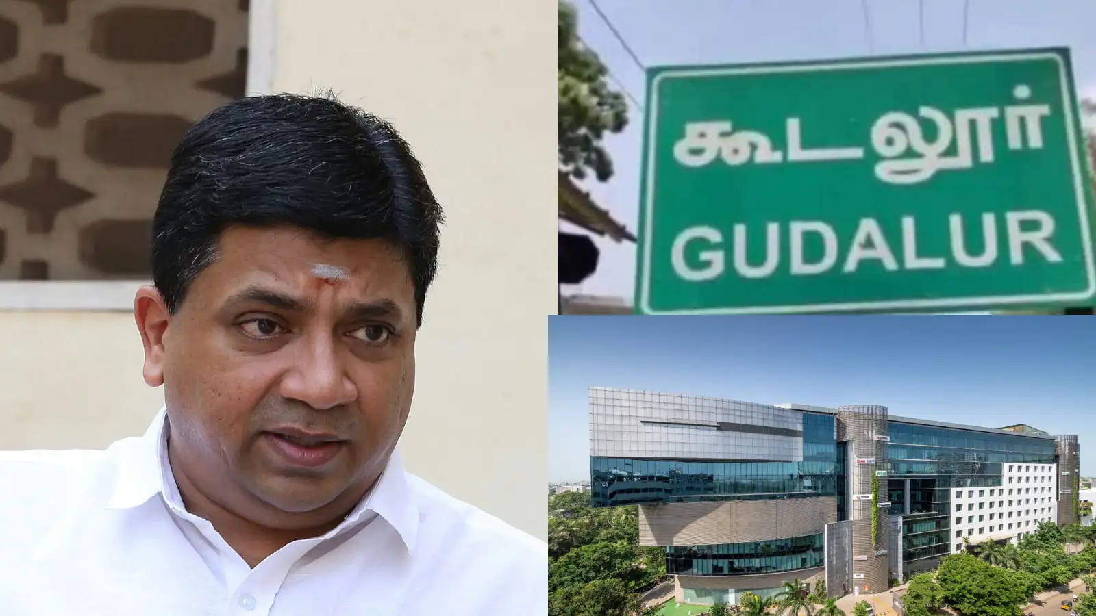 கூடலூருக்கு ஐ.டி. பூங்கா வருமா? அமைச்சர் பி.டி.ஆர். பழனிவேல் தியாகராஜன் கொடுத்த பதில் இதுதான்... 