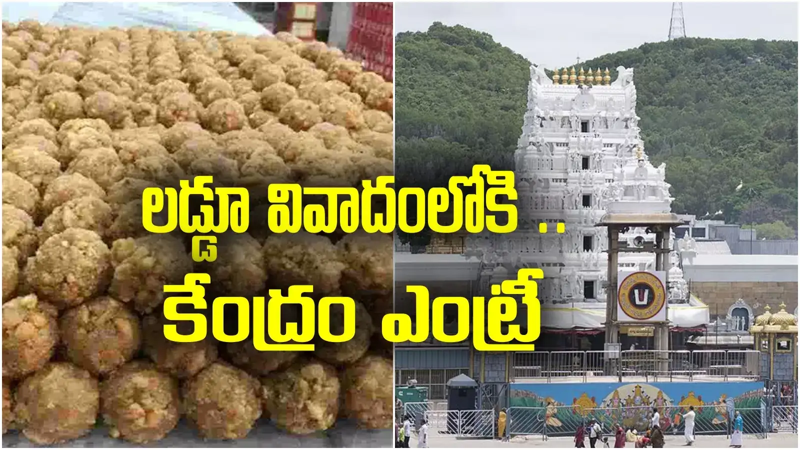 Tirupati laddu news: తిరుమల లడ్డూ వివాదంలోకి కేంద్రం ఎంట్రీ.. ఏం జరుగుతుందో!