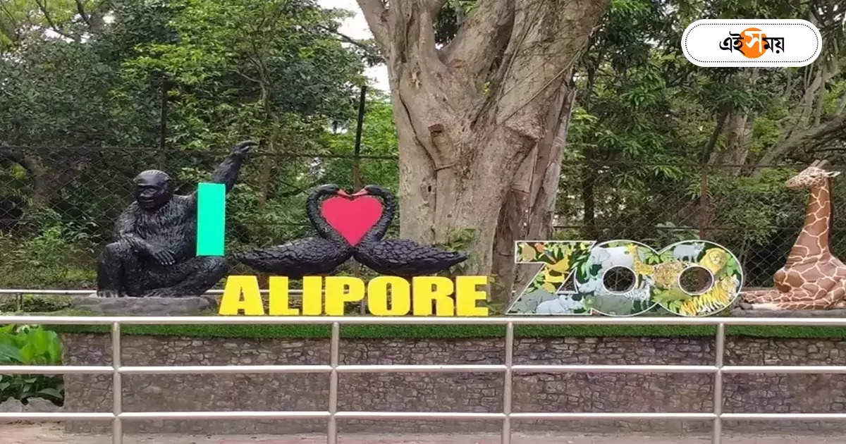 Alipore Zoo : আলিপুর চিড়িয়াখানায় ‘ফুড কোর্ট’! সঙ্গে এসি রেস্তরাঁ চালুর সিদ্ধান্তও – a four storey food court’will be built next to alipore zoo