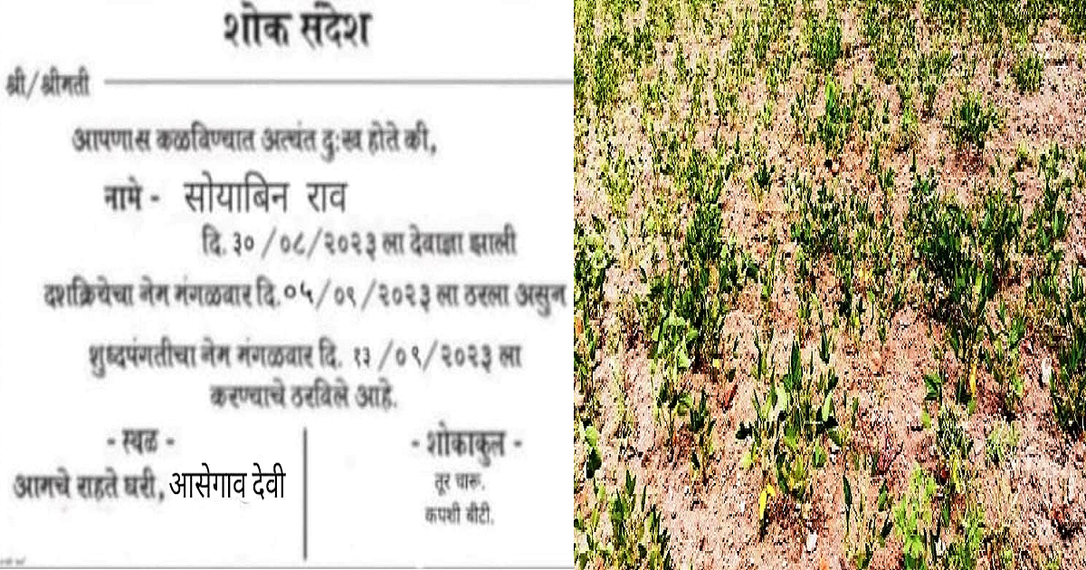 सोयाबीनचा मृत्यू झाला! नंतरच्या विधीसाठी…; शेतकऱ्याने छापलेल्या पत्रिकांची राज्यात चर्चा