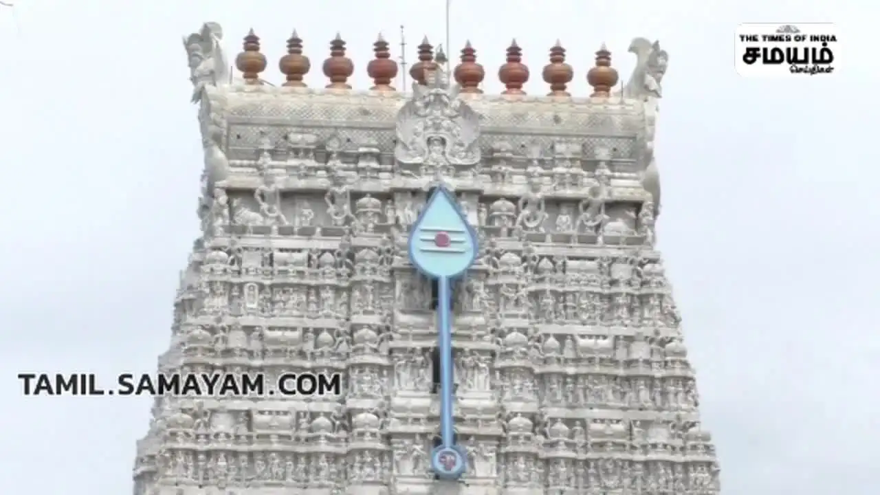 திருச்செந்தூர் முருகனுக்கு அரோகரா; வைகாசி விசாகம்... அலைகடலென குவியும் பக்தர்கள்! 