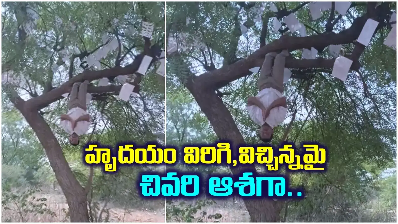 చిన్నప్పుడు ఆడుకున్న చెట్టునే.. నేడు వేడుకుంటున్నాడు.. ఆ బాధ నుంచి తప్పిస్తుందా..?