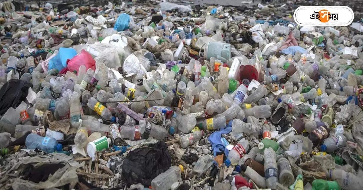 Plastic Pollution : সল্টলেক ‘স্মার্ট’, প্লাস্টিকে ‘আনস্মার্ট’ বাগুইআটি-কেষ্টপুর – the state has banned single use plastics for a long time how much is the picture of bidhannagar municipality area changing