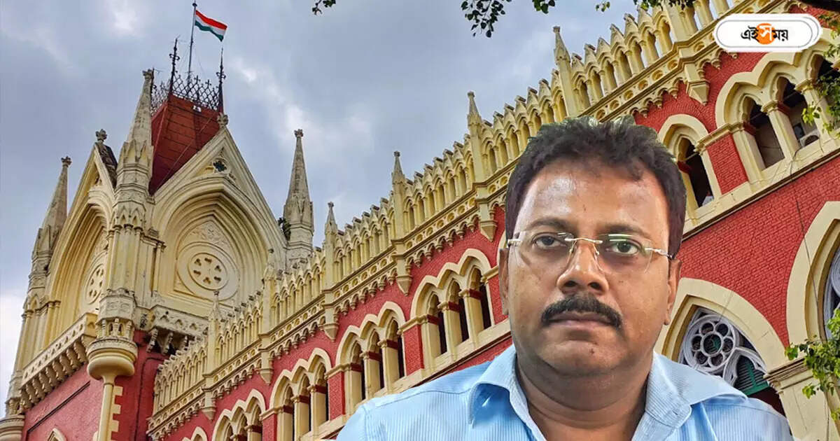Calcutta High Court: এতদিন বাদে কেন সিট গঠন? সন্দীপের বিরুদ্ধে দুর্নীতির মামলায় প্রশ্ন হাইকোর্টে – calcutta high court observation on rg kar ex principal sandip ghosh case