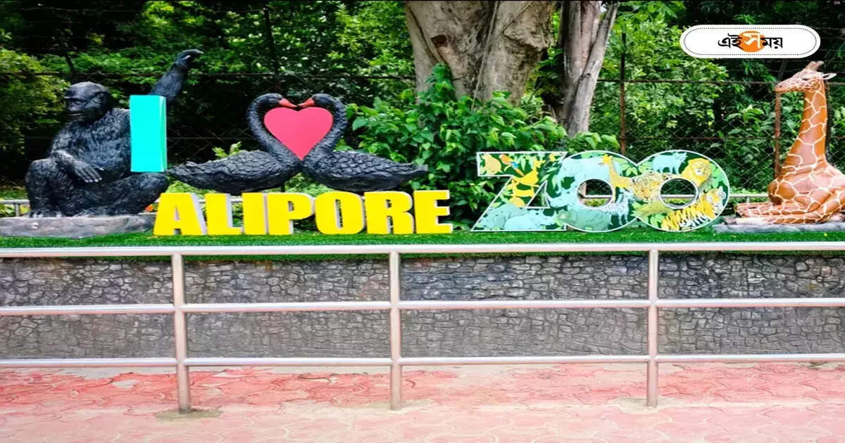 Alipore Zoo : জন্তু-পাখিদের ডাক শুনেই অন্য জগতে পাড়ি দৃষ্টিহীন পড়ুয়াদের, চমকপ্রদ অভিজ্ঞতা – 57 blind school children visited the alipore zoo