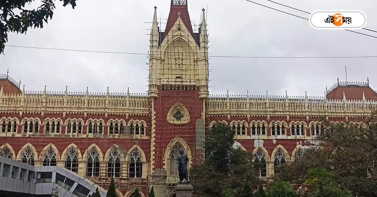 Contructual Jobs in West Bengal : ‘এই বেতনে এর বেশি কী আশা করা যায়’, চুক্তিভিত্তিক কর্মী নিয়োগ নিয়ে রাজ্যকে বিঁধল হাইকোর্ট – calcutta high court slams govt of west bengal for recruiting contractual stafff in government