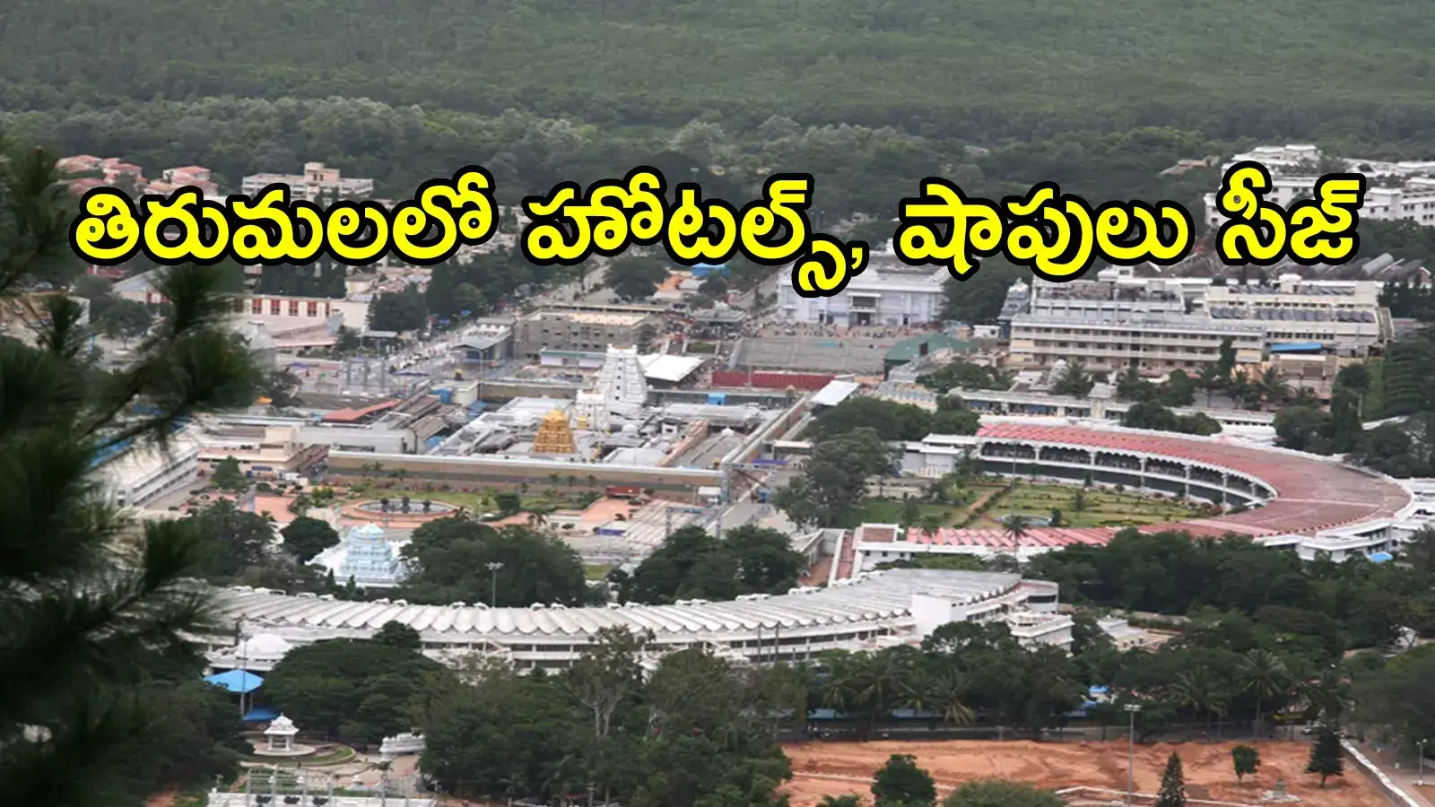 తిరుమలలో హోటల్స్ సీజ్, లైసెన్స్‌లు రద్దు.. టీటీడీ సంచలన నిర్ణయం
