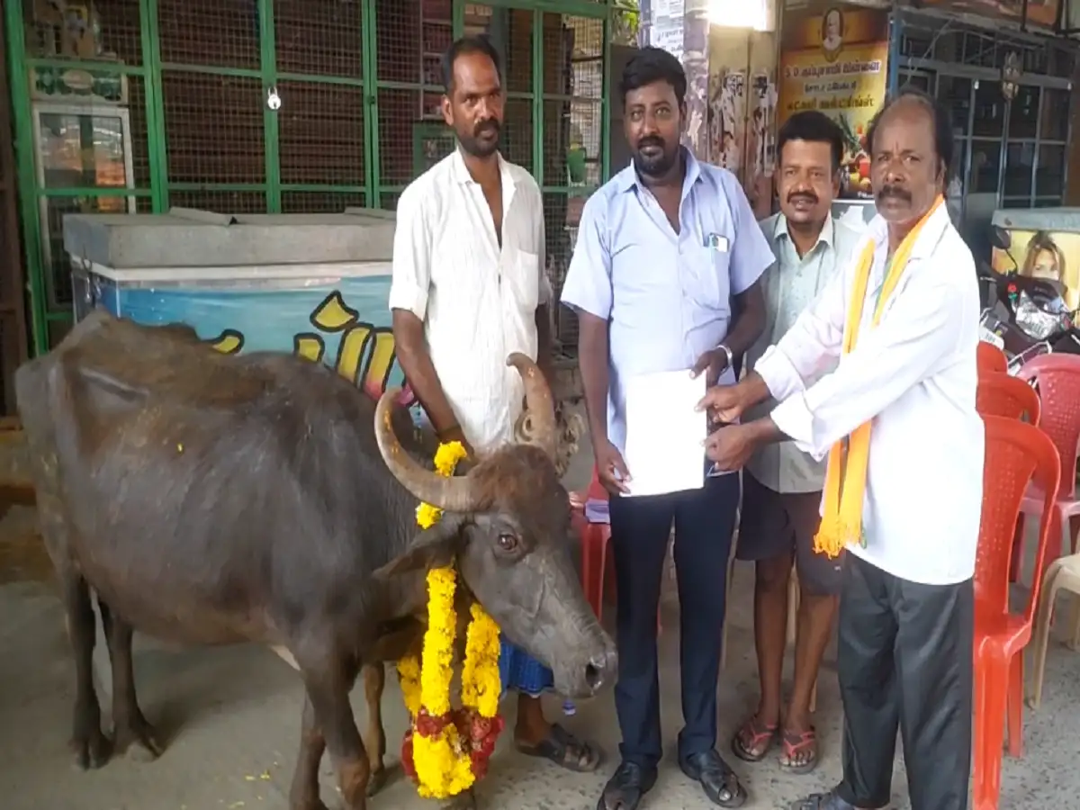விழுப்புரத்தில் எருமை மாட்டிடம் மனு கொடுக்கும் போராட்டம்; ஏரி வாய்கால் தூர்வாரக் கோரிக்கை! 