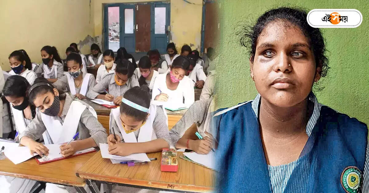 WB HS Result 2024 : গান নিয়ে পড়তে চায় হরিপালের দৃষ্টিহীন নম্রতা – uttarpara makhla high school student namrata ghosh scored 412 marks in higher secondary exam