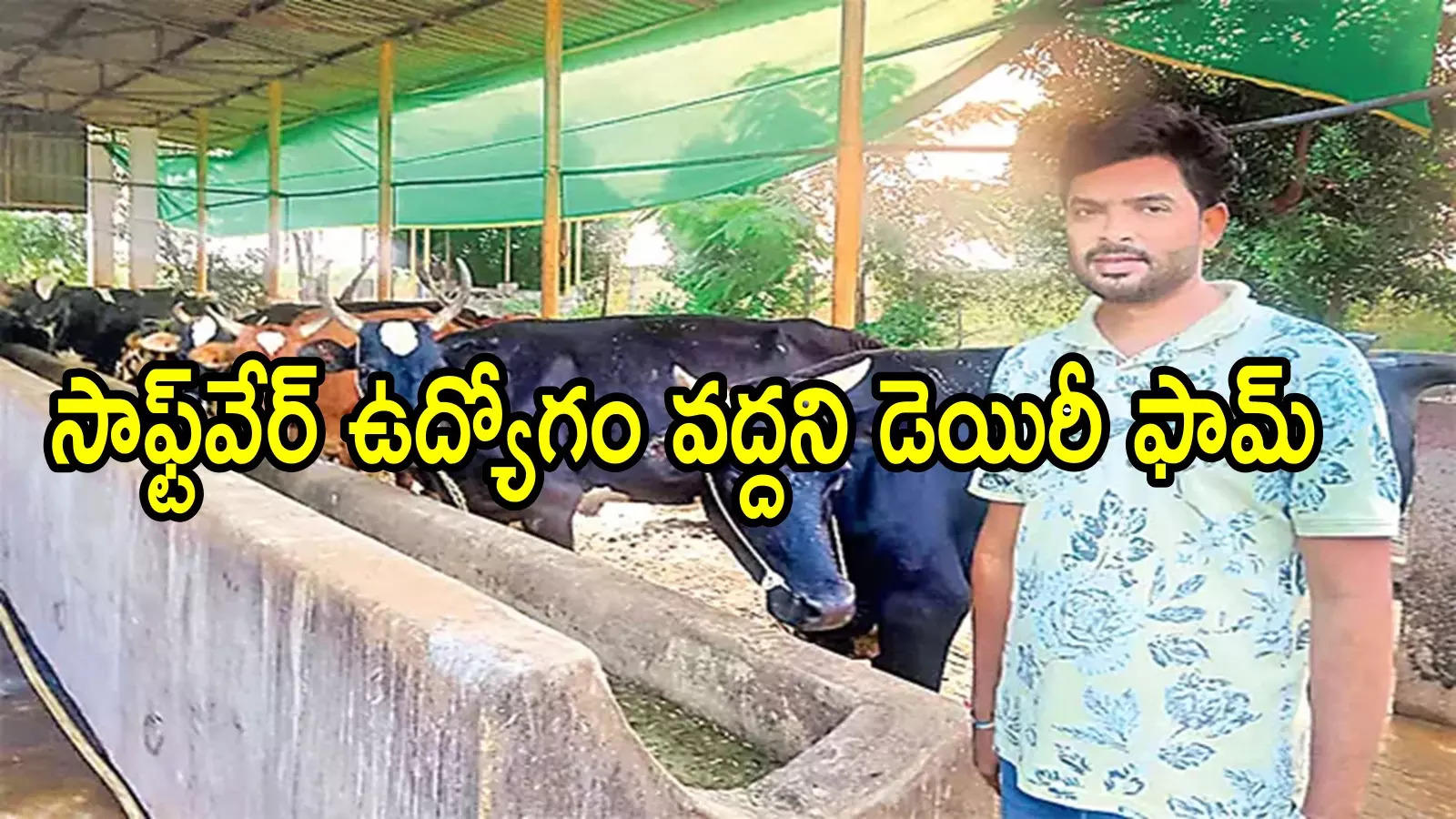 కందుకూరు: సాఫ్ట్‌వేర్ జాబ్ వదిలేసిన యువకుడు.. సొంత ఊళ్లోనే ఉపాధి, నెలకు ఆదాయం ఎంతో తెలుసా!