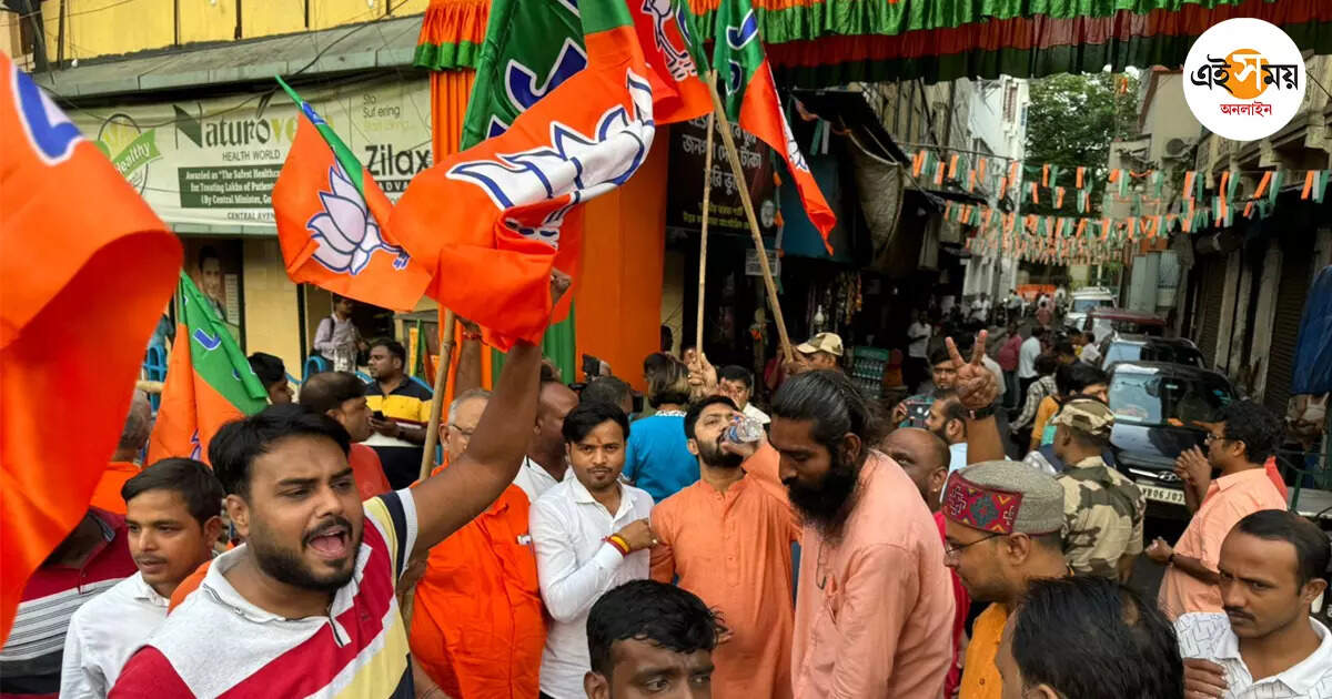 Bjp West Bengal,বিসর্জন-শোভাযাত্রা বয়কট, মিছিল-কর্মসূচি বিজেপির – bjp west bengal going to hold big rally in kolkata today