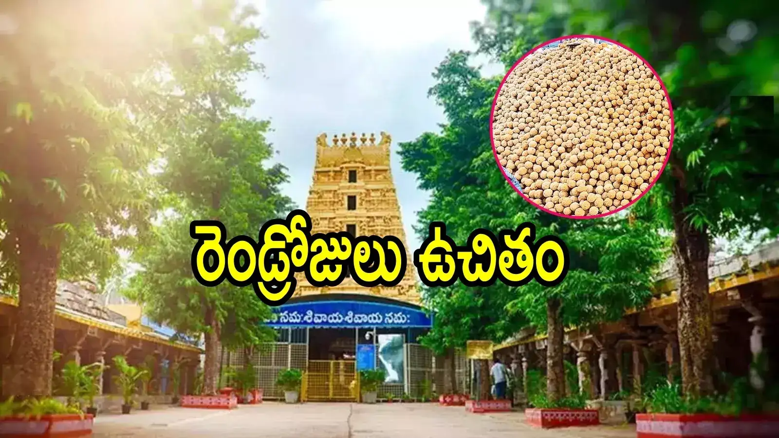 శ్రీశైలం వెళ్లే భక్తులకు శుభవార్త.. రెండు రోజుల పాటూ ఉచితంగా, పూర్తి వివరాలివే