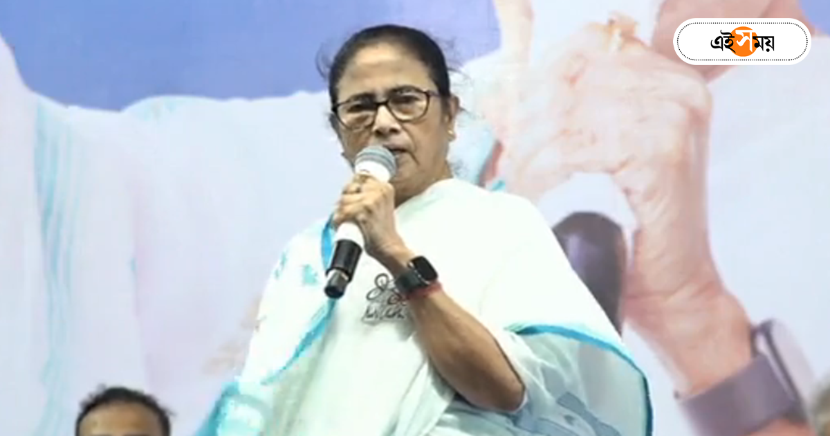 Mamata Banerjee,’বাইরে থেকে সাহায্য দিয়ে সরকার গঠন করে দেব’, INDIA জোট নিয়ে বড় ঘোষণা মমতার – mamata banerjee says tmc will support india alliance from outside after lok sabha election