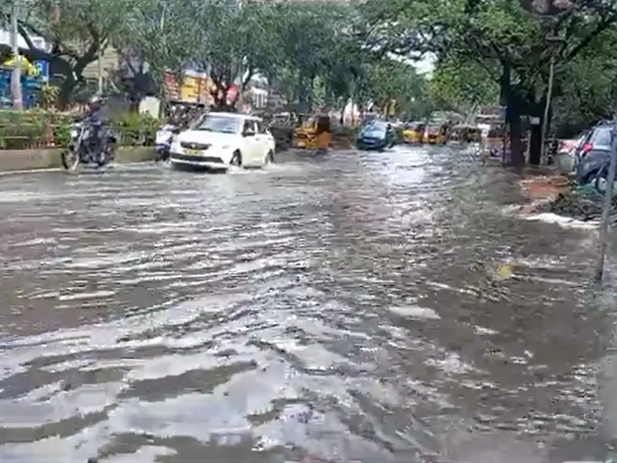 சென்னையில் மழைக்கு இருவேறு இடங்களில் 2 பேர் பலி! 